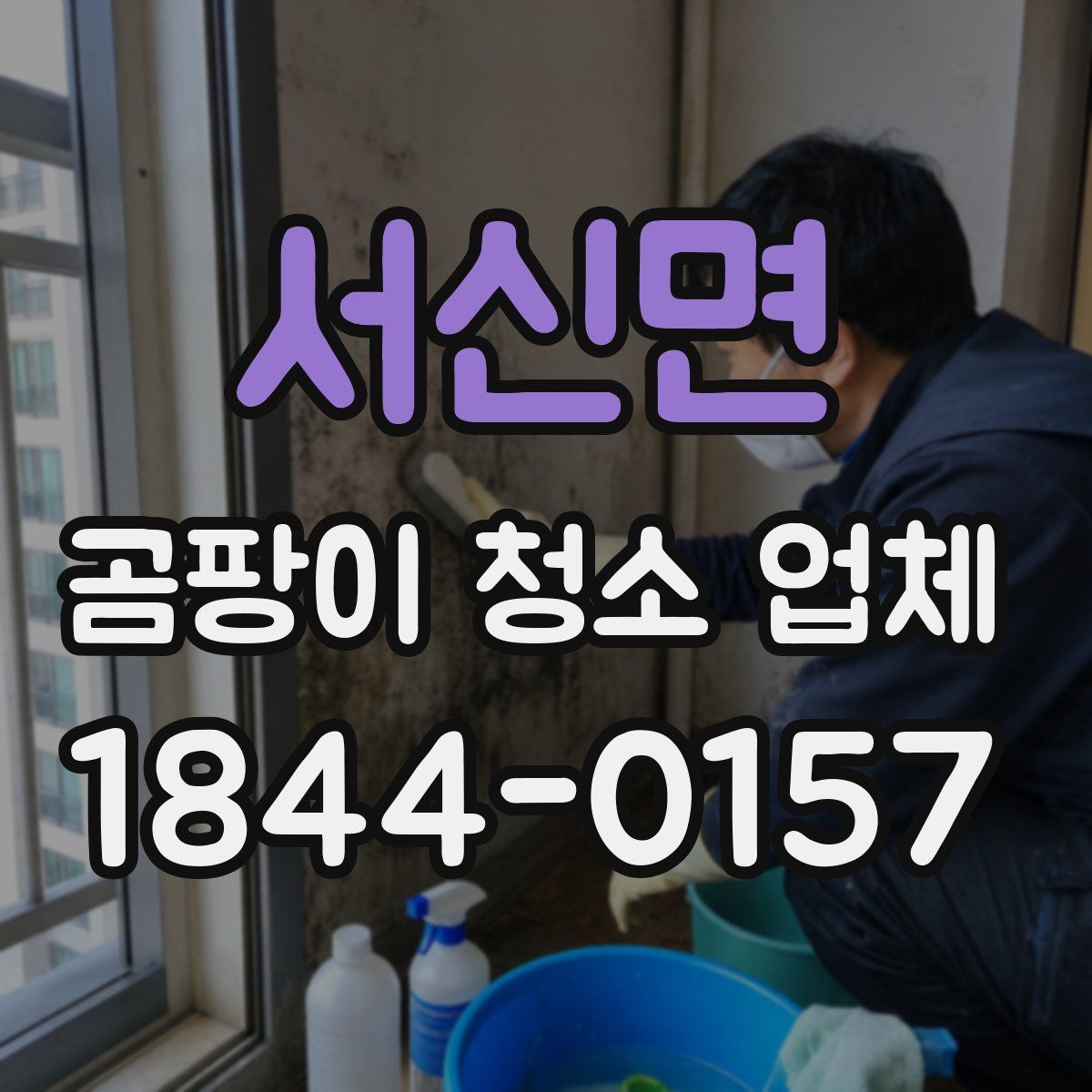 서신면 곰팡이 청소 업체