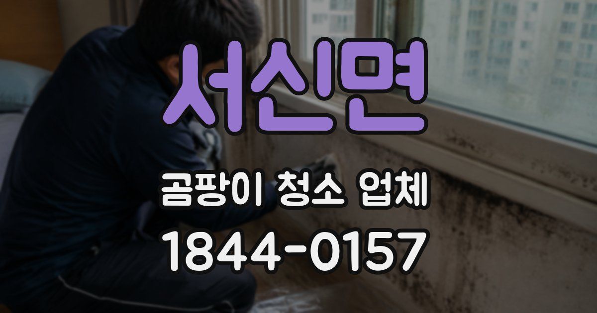 서신면 곰팡이 청소 업체