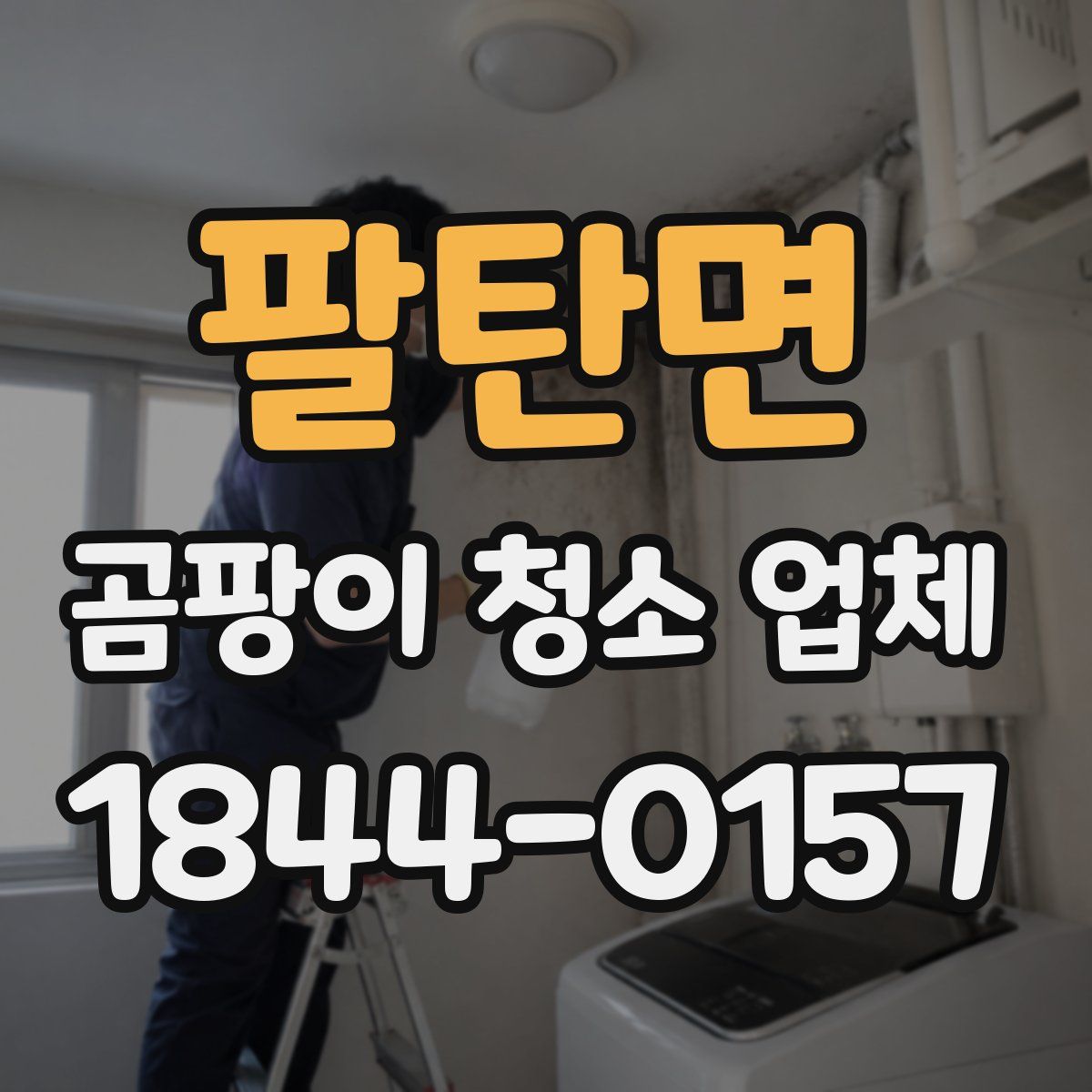팔탄면 곰팡이 청소 업체