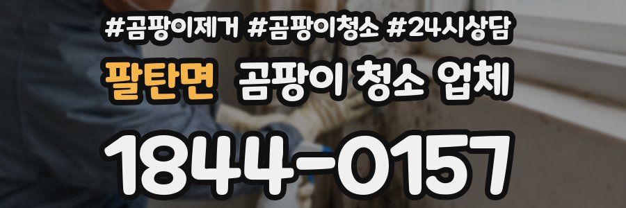 팔탄면 곰팡이 청소 업체