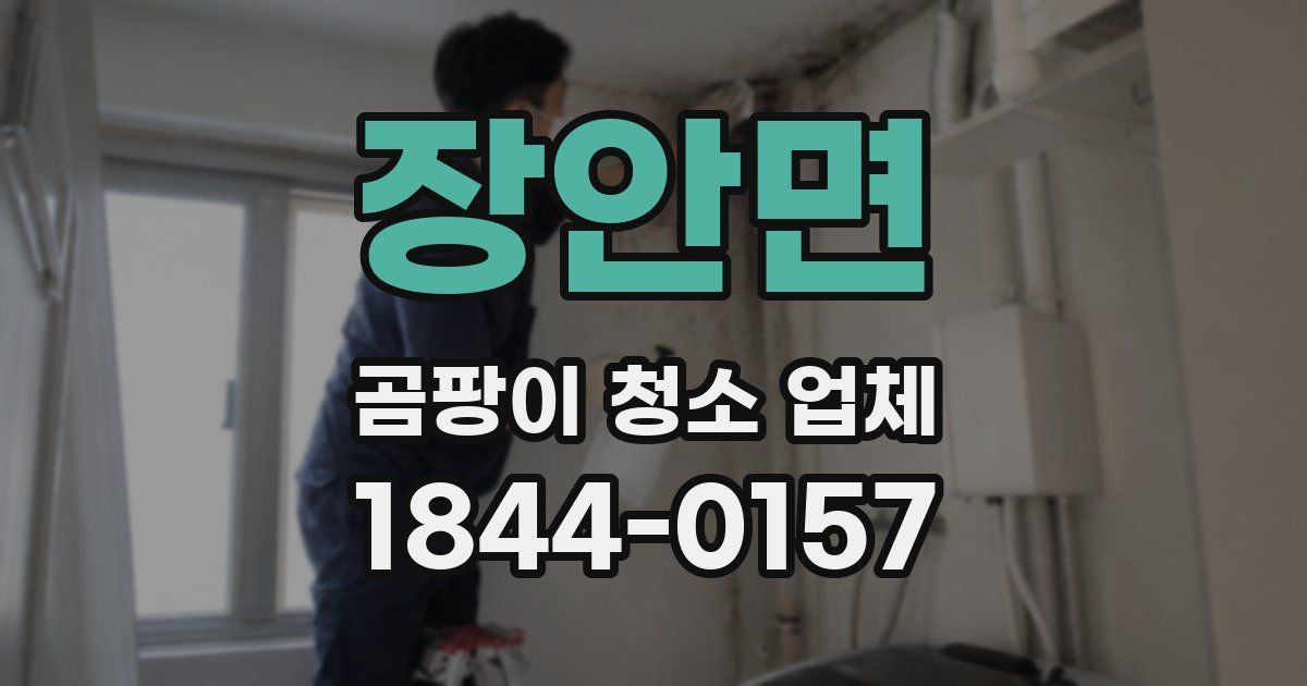 장안면 곰팡이 청소 업체