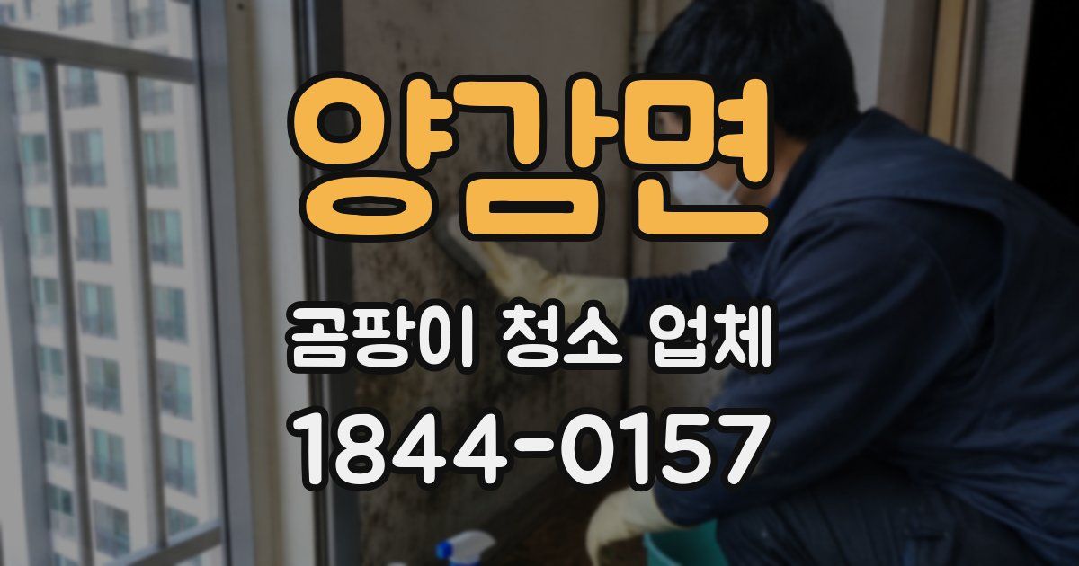양감면 곰팡이 청소 업체