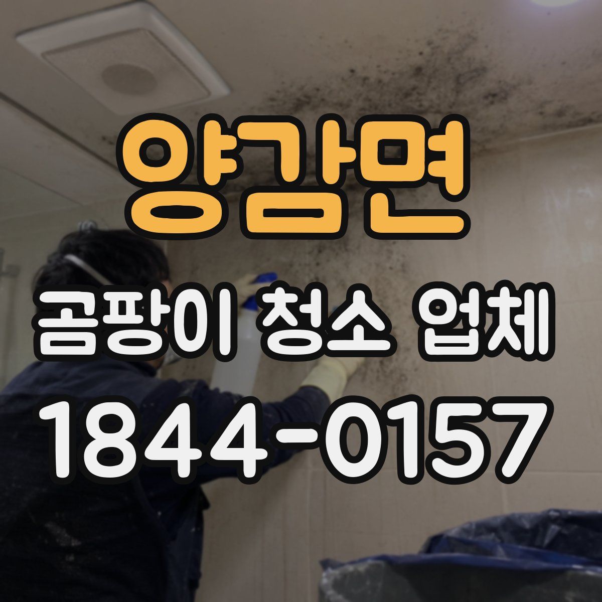 양감면 곰팡이 청소 업체