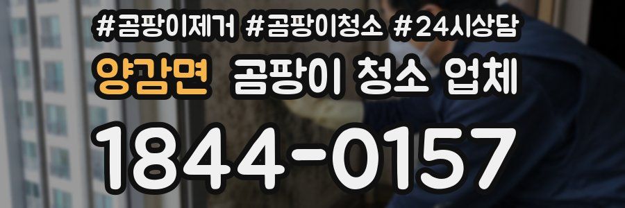 양감면 곰팡이 청소 업체