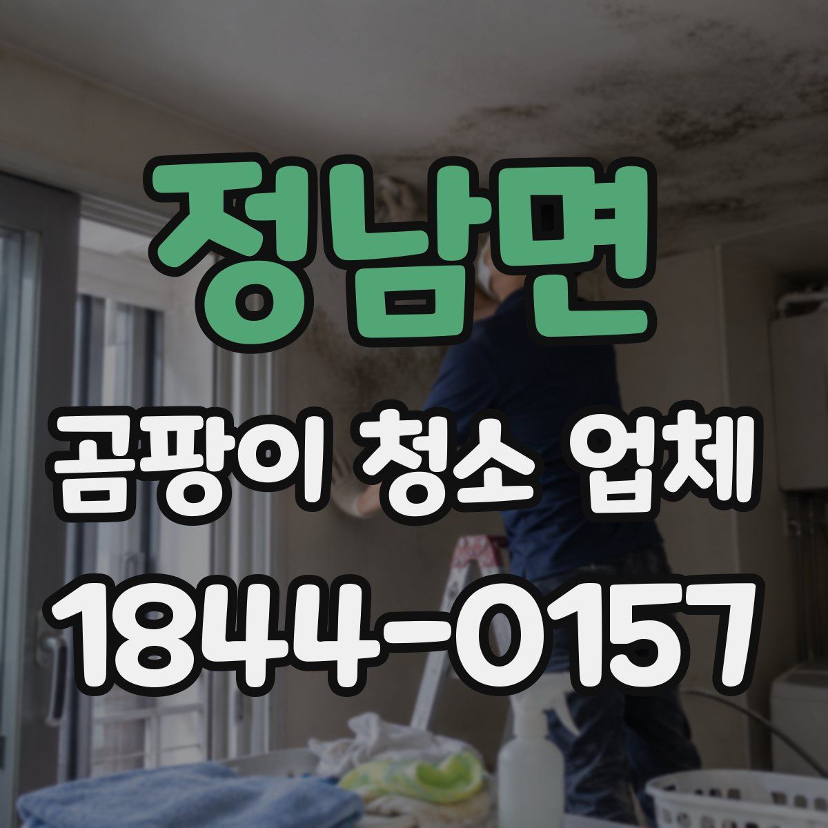 정남면 곰팡이 청소 업체