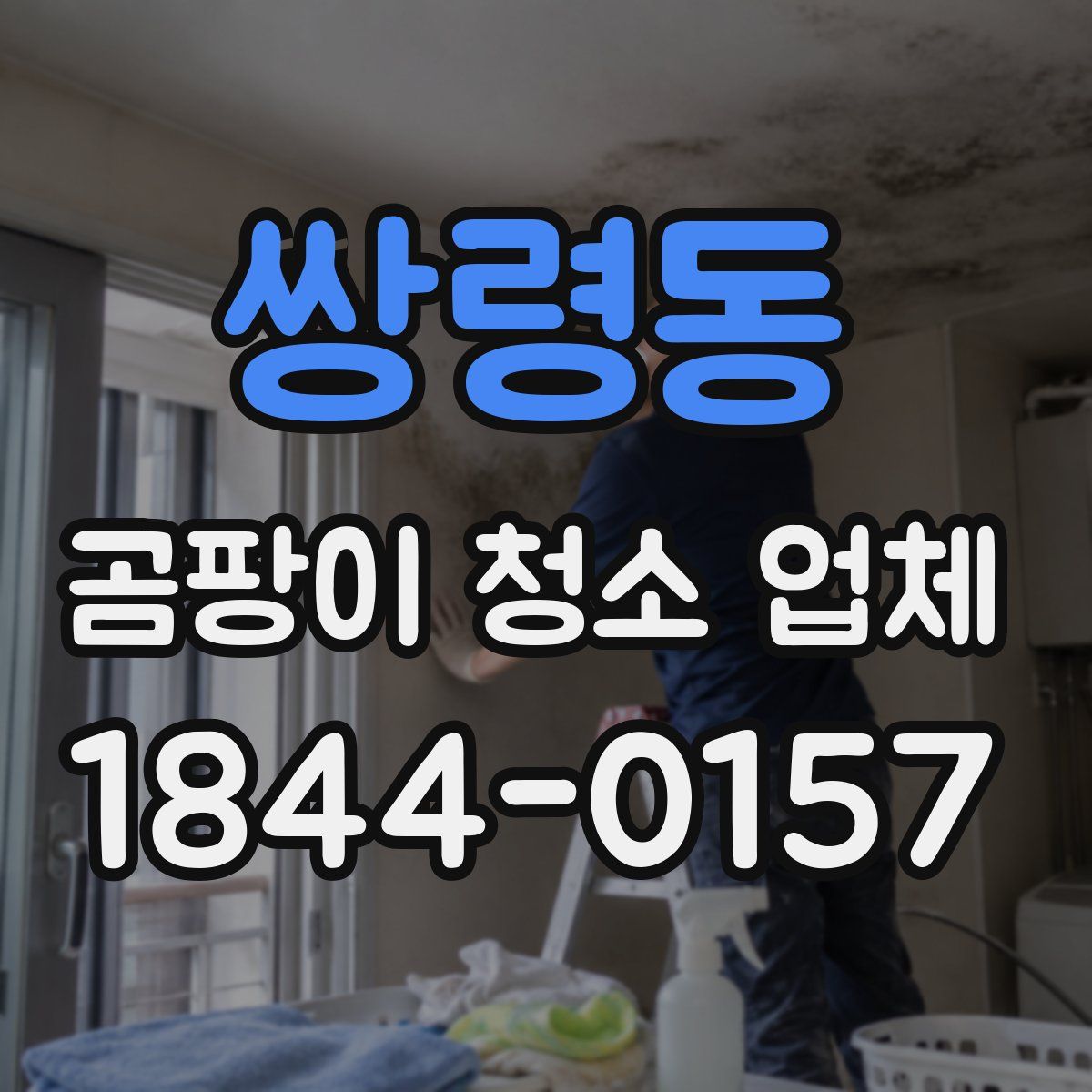 쌍령동 곰팡이 청소 업체