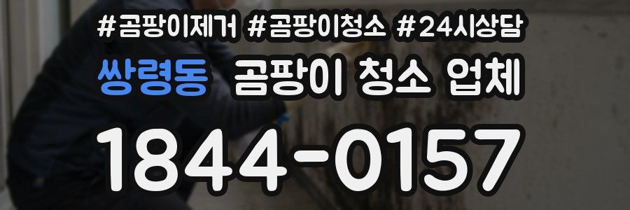 쌍령동 곰팡이 청소 업체