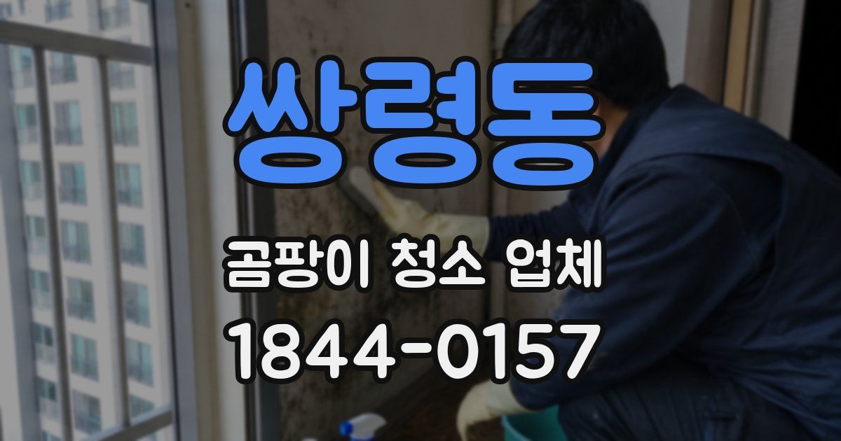 쌍령동 곰팡이 청소 업체