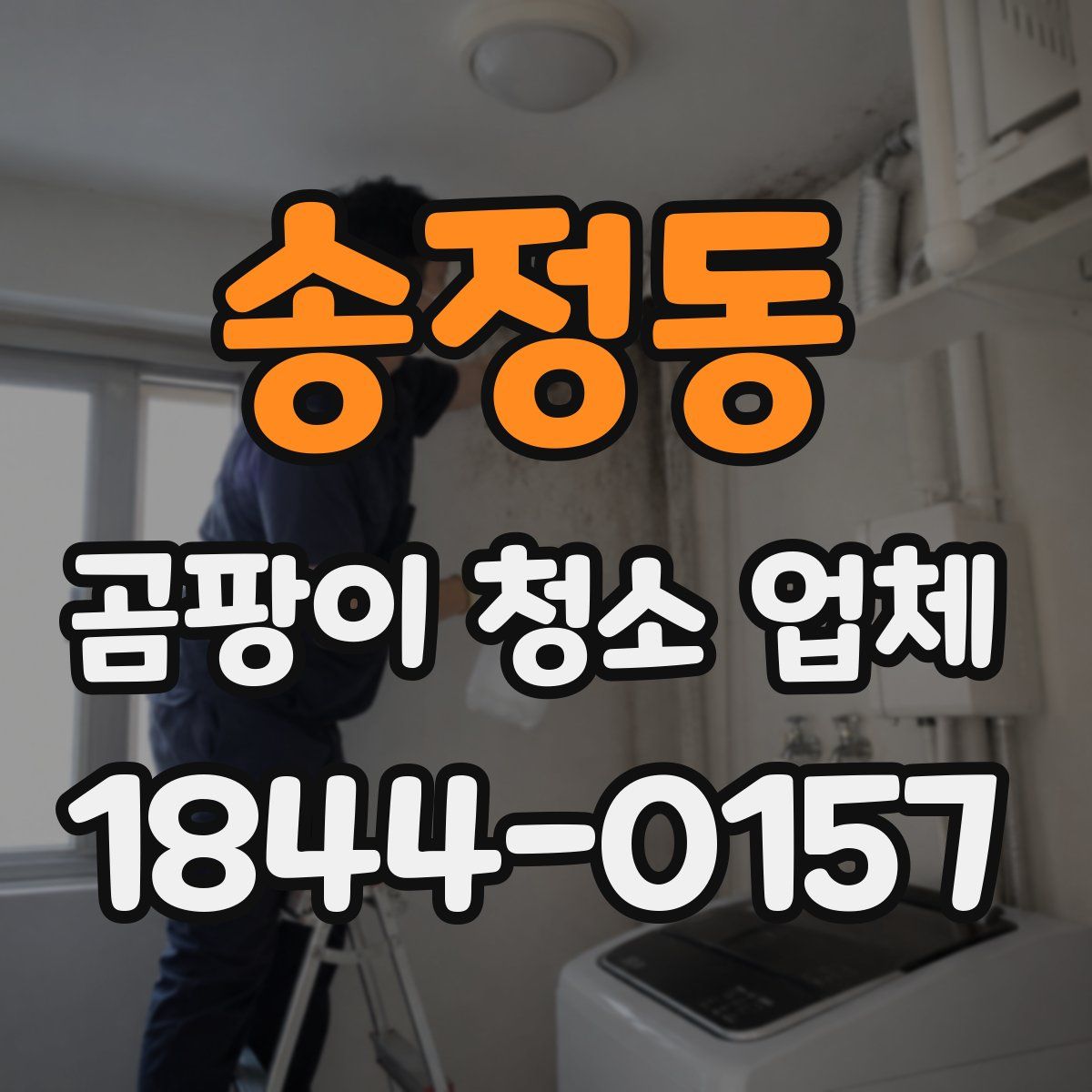 송정동 곰팡이 청소 업체