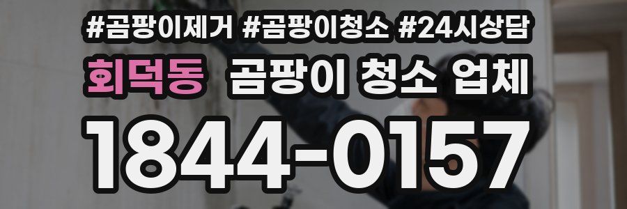 회덕동 곰팡이 청소 업체
