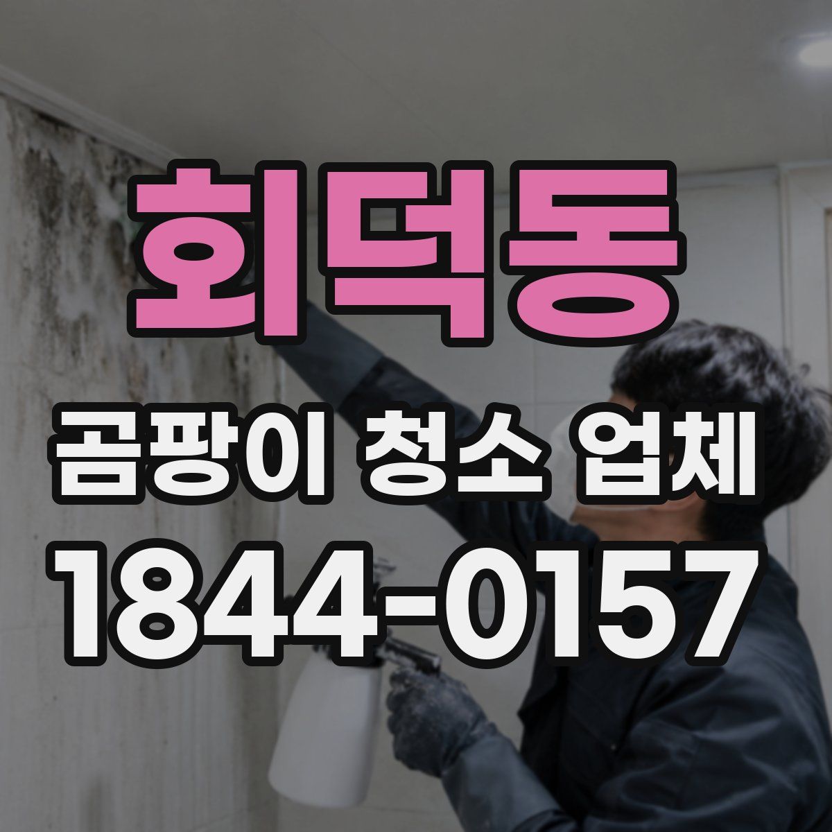 회덕동 곰팡이 청소 업체