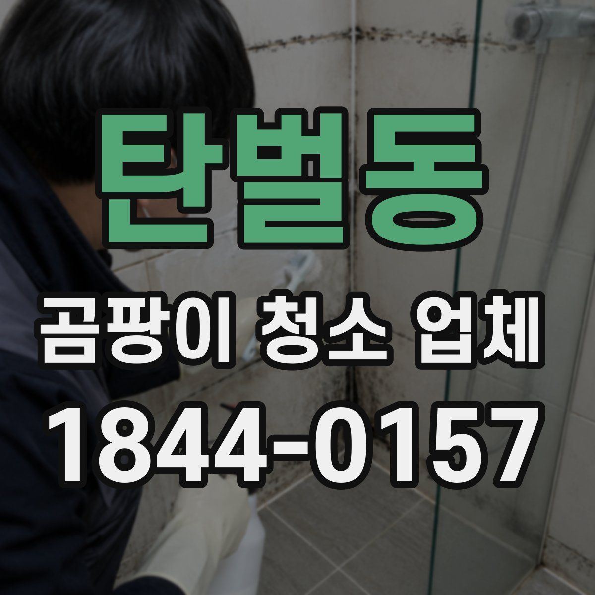 탄벌동 곰팡이 청소 업체