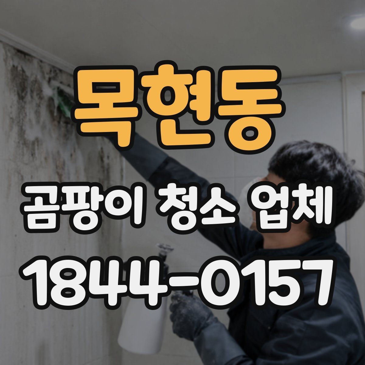 목현동 곰팡이 청소 업체 시공 전 현장 사진으로 확인할 체크 항목
