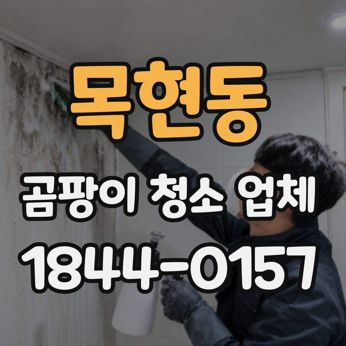 목현동 곰팡이 청소 업체