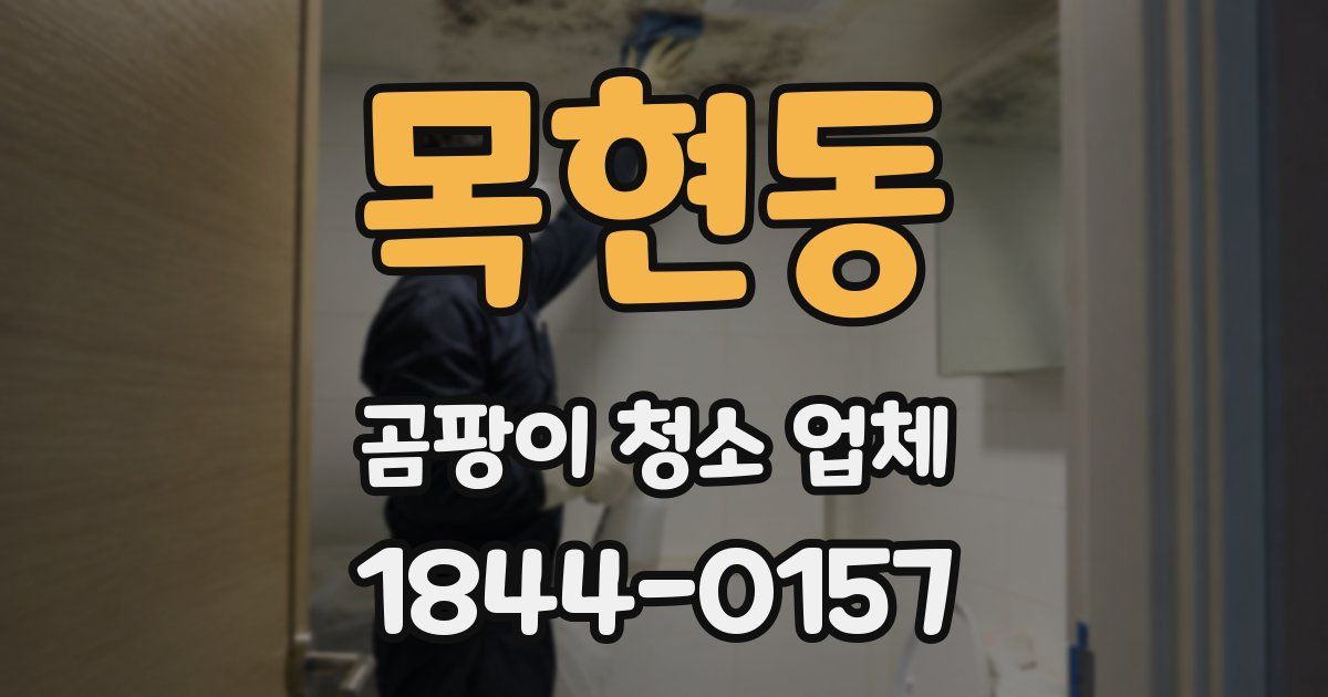 목현동 곰팡이 청소 업체