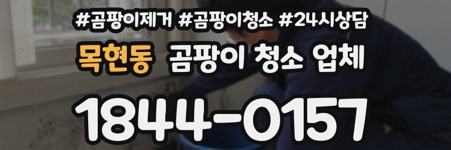 목현동 곰팡이 청소 업체