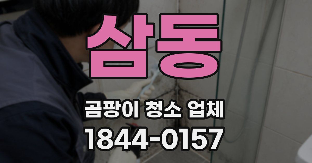 삼동 곰팡이 청소 업체