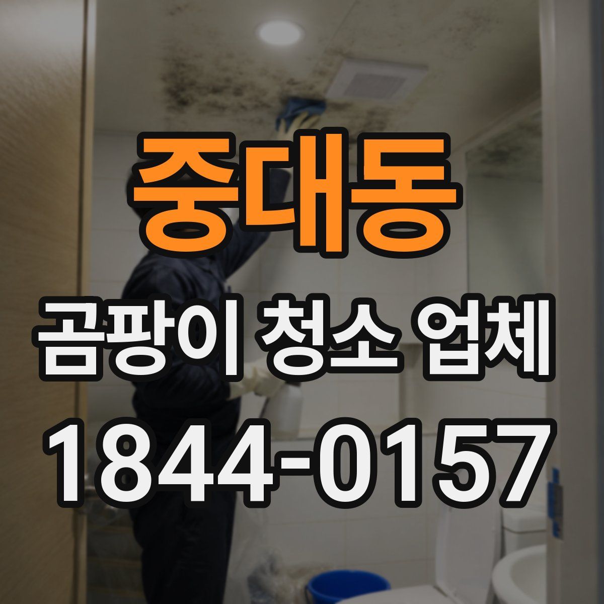 중대동 곰팡이 청소 업체