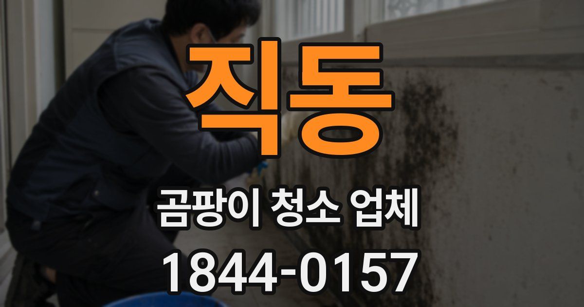 직동 곰팡이 청소 업체