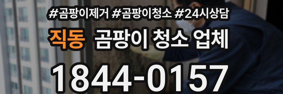 직동 곰팡이 청소 업체