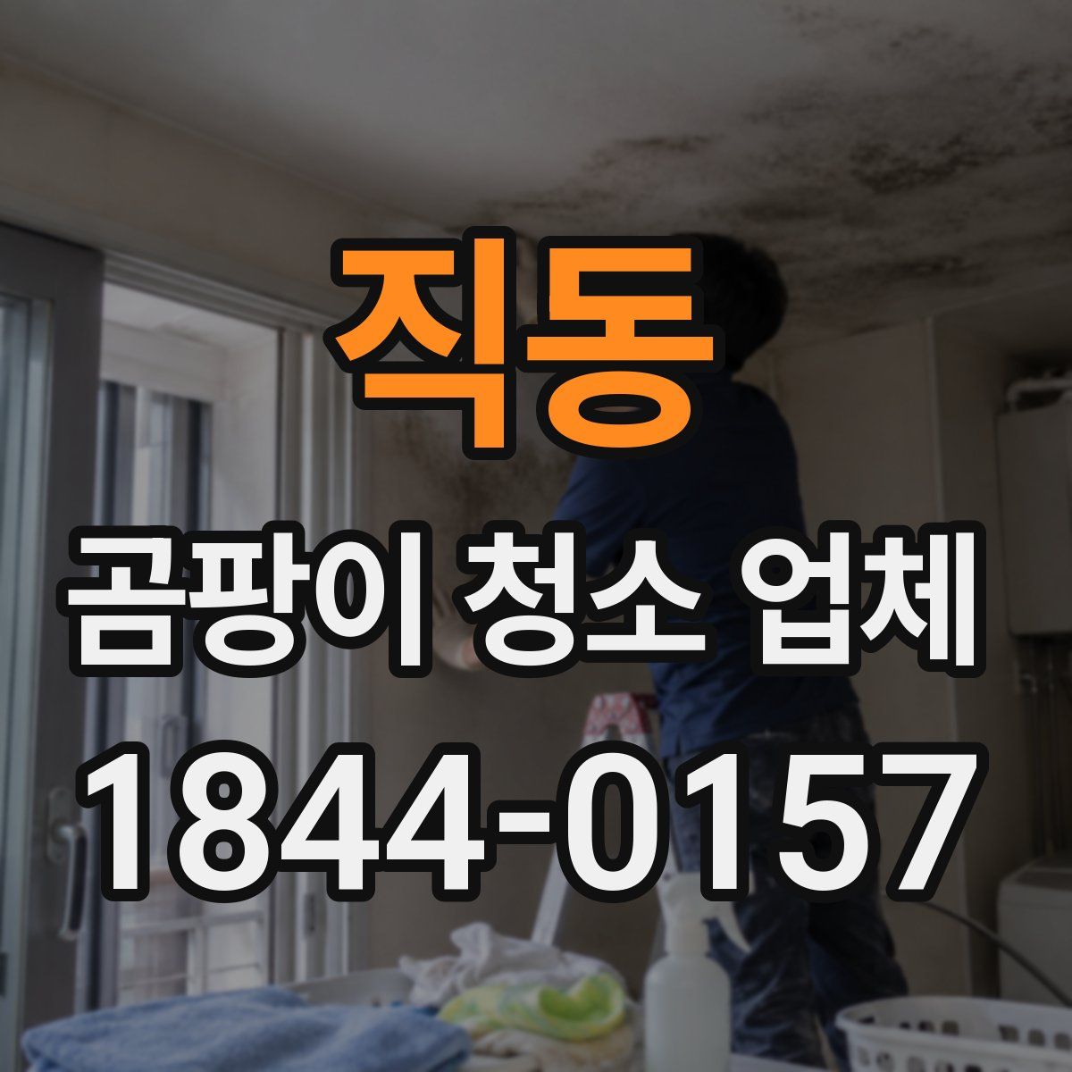 직동 곰팡이 청소 업체