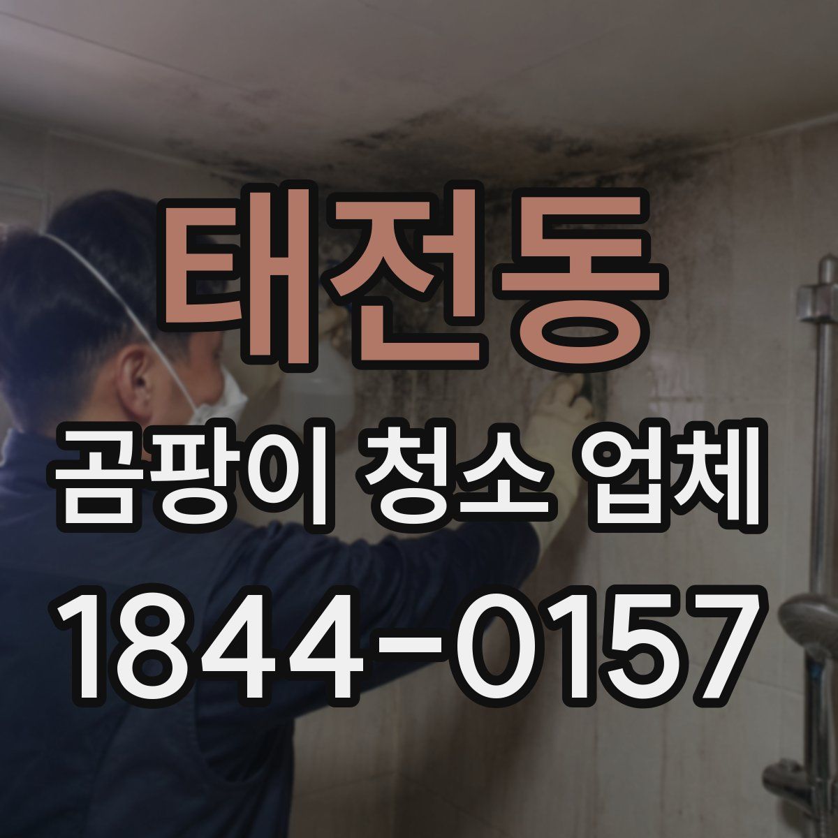 태전동 곰팡이 청소 업체