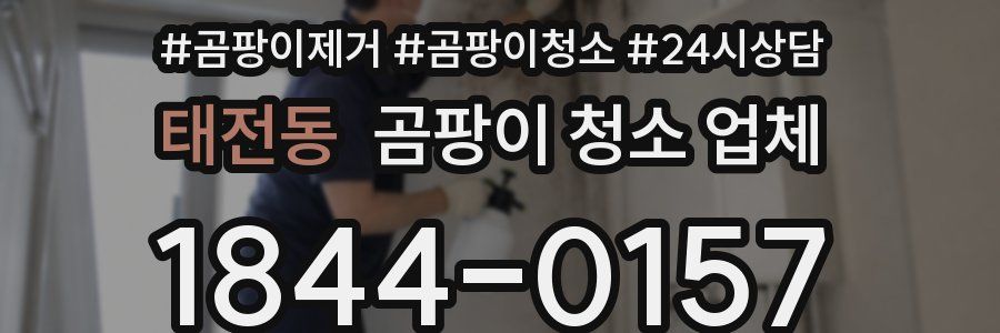 태전동 곰팡이 청소 업체