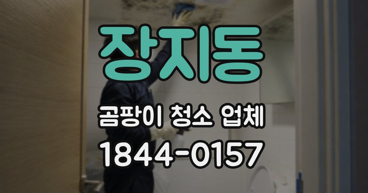 장지동 곰팡이 청소 업체
