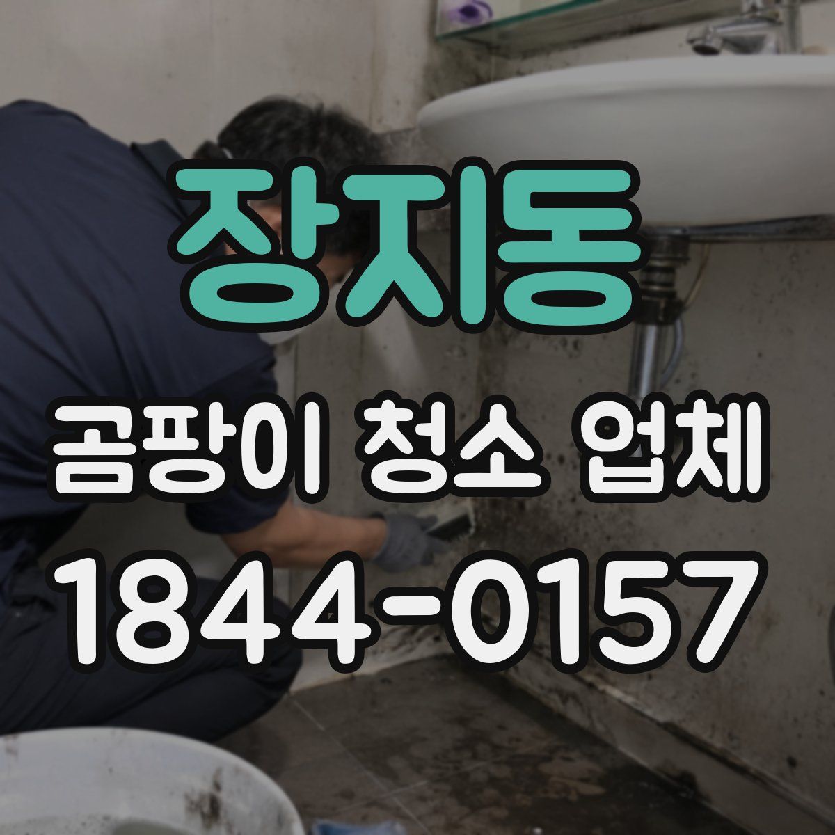 장지동 곰팡이 청소 업체