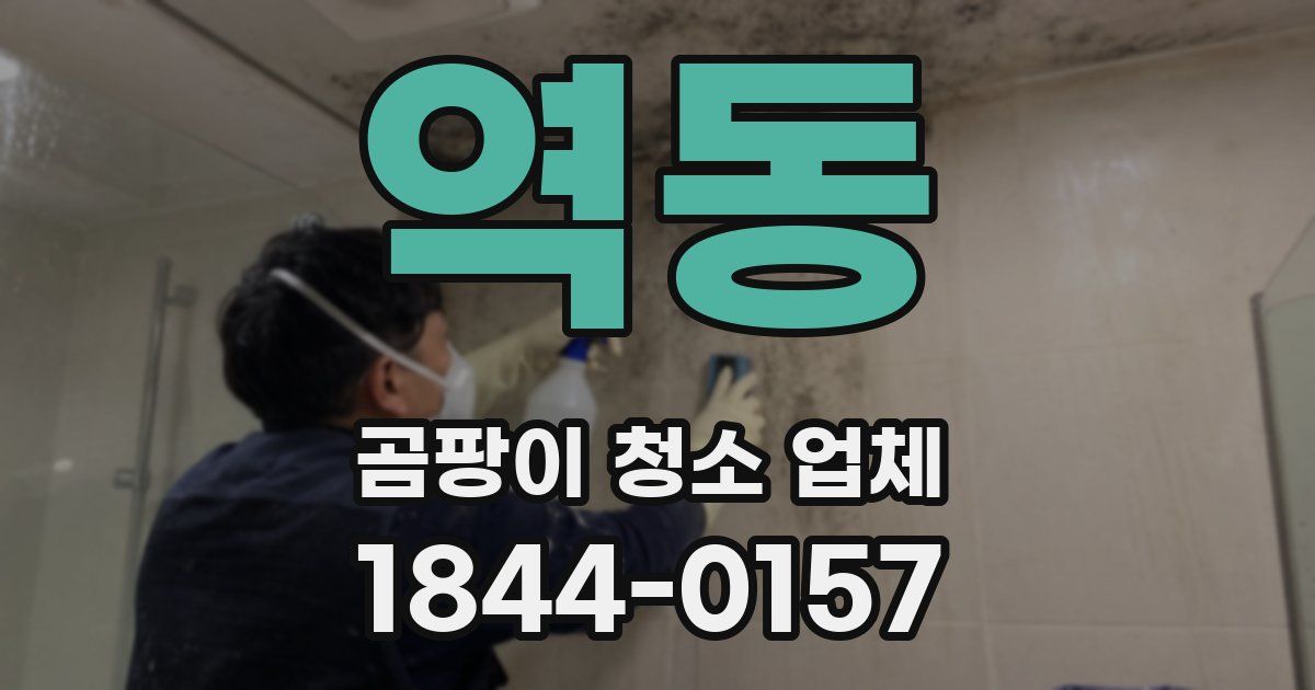 역동 곰팡이 청소 업체