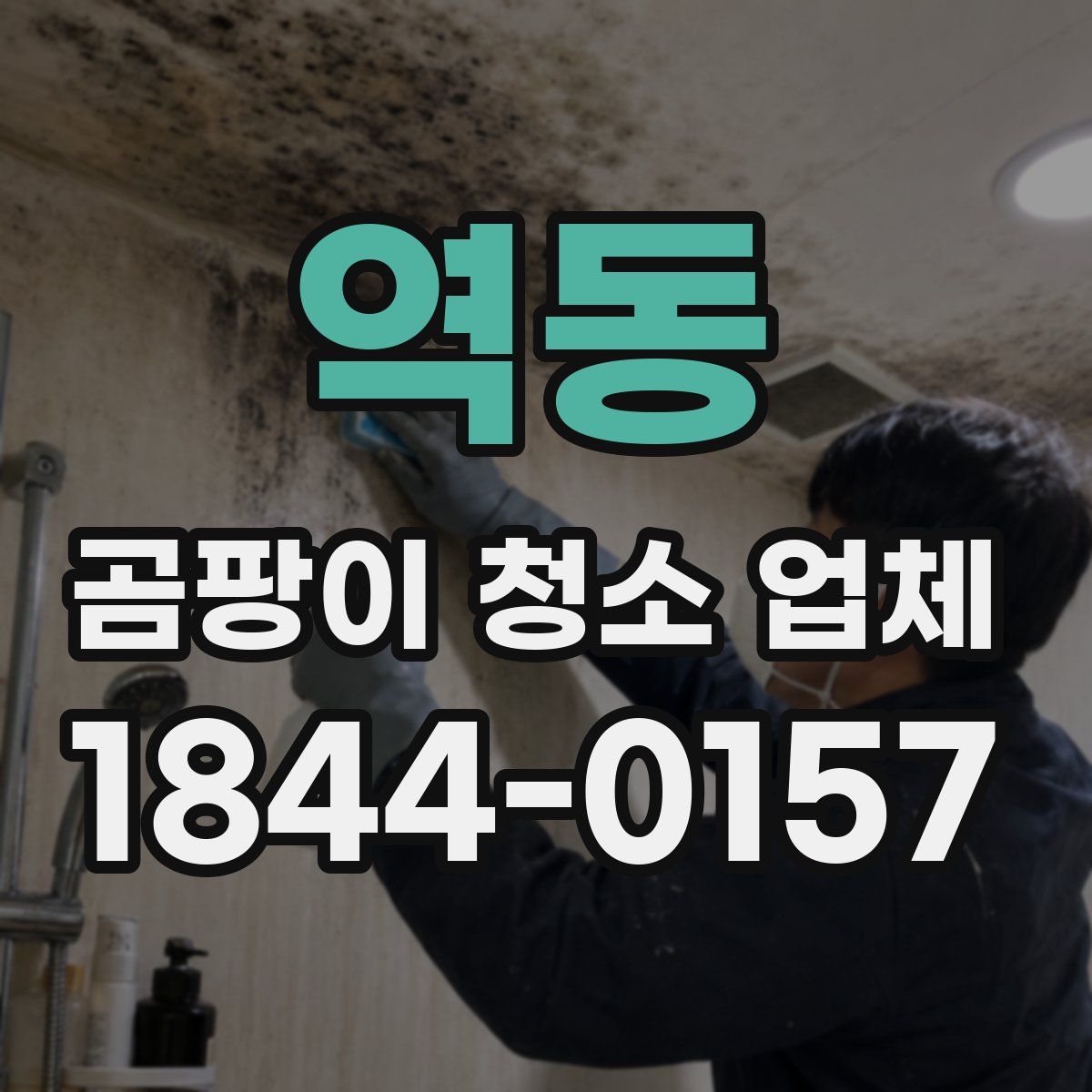 역동 곰팡이 청소 업체