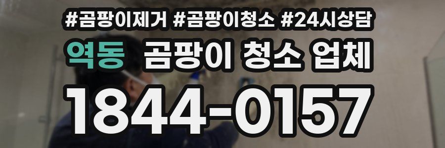 역동 곰팡이 청소 업체