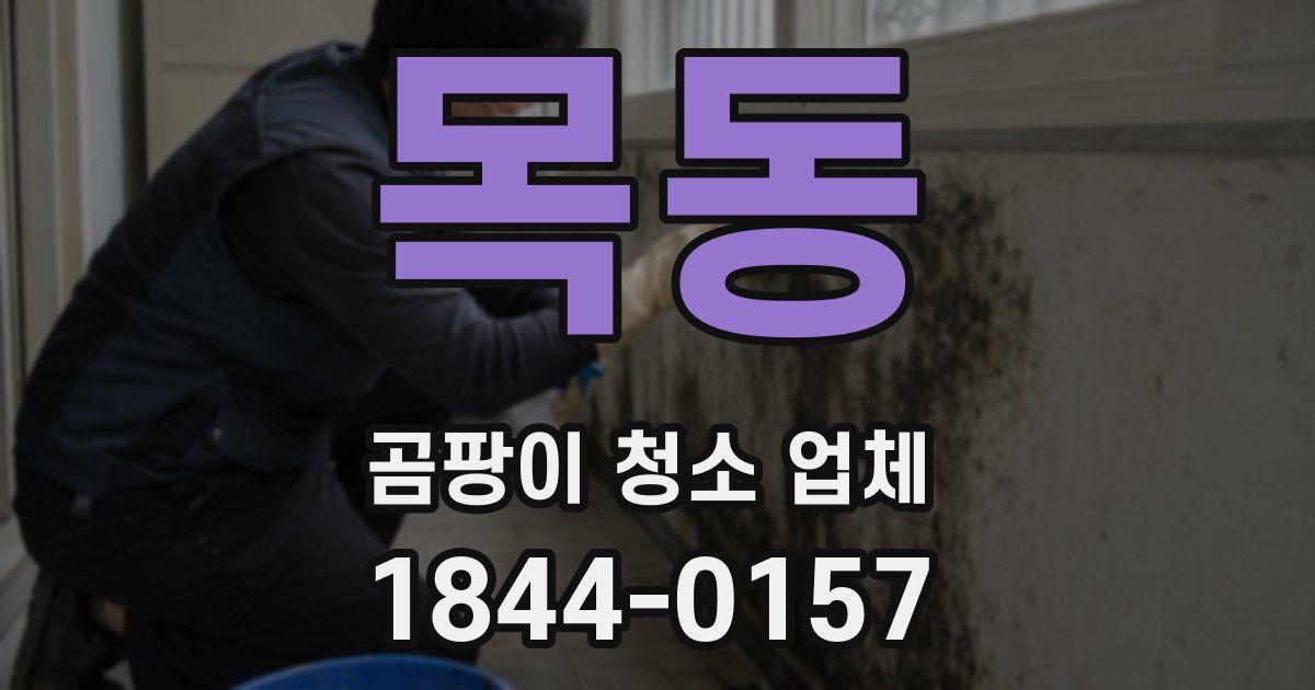 목동 곰팡이 청소 업체