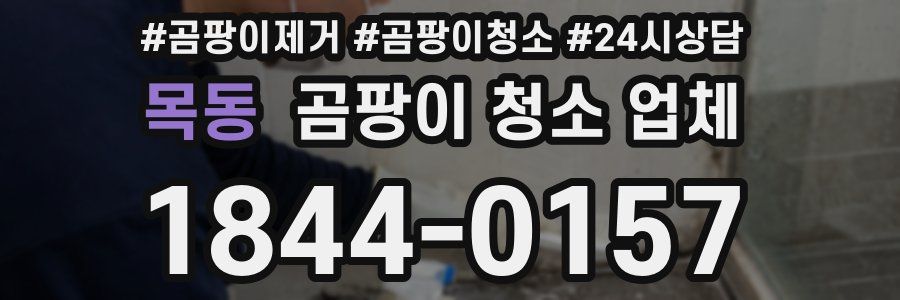 목동 곰팡이 청소 업체
