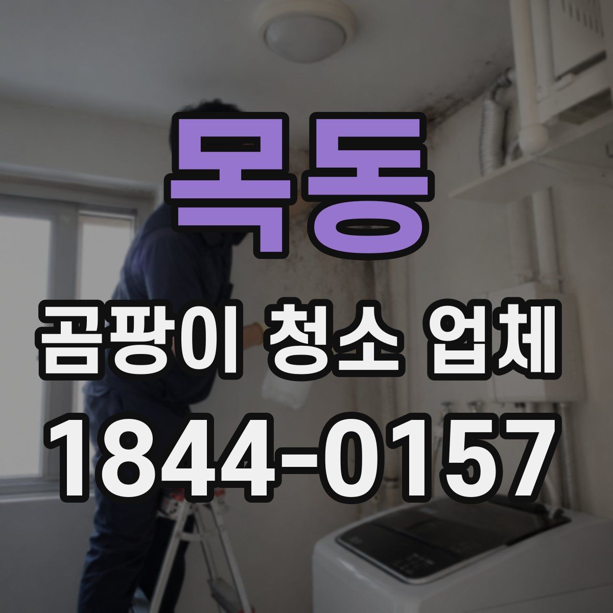 목동 곰팡이 청소 업체