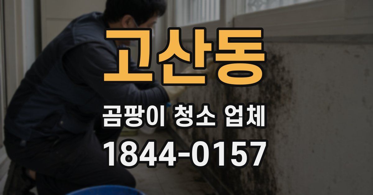 고산동 곰팡이 청소 업체