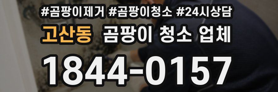 고산동 곰팡이 청소 업체