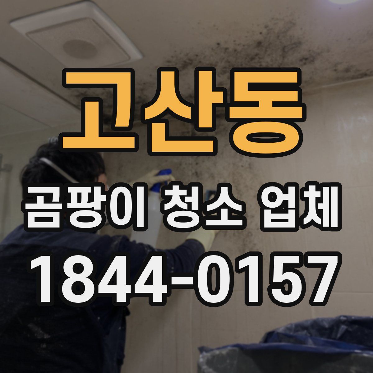 고산동 곰팡이 청소 업체