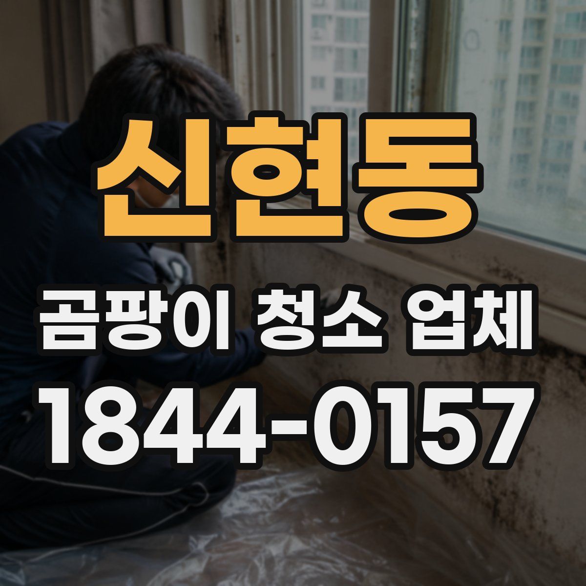 신현동 곰팡이 청소 업체