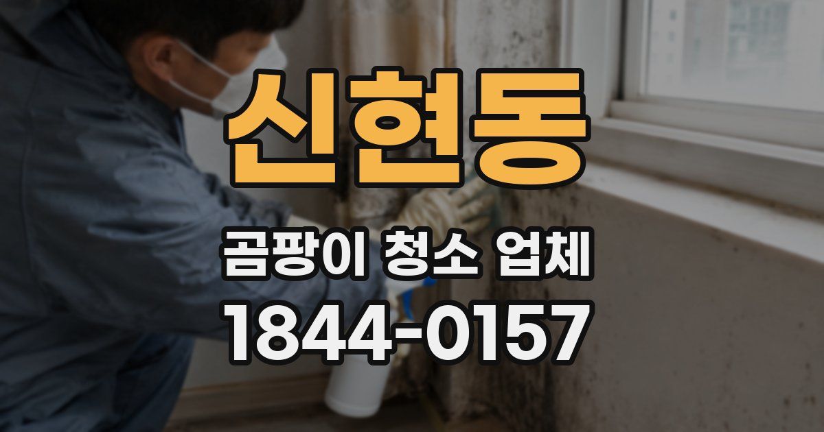 신현동 곰팡이 청소 업체