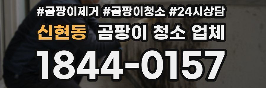 신현동 곰팡이 청소 업체