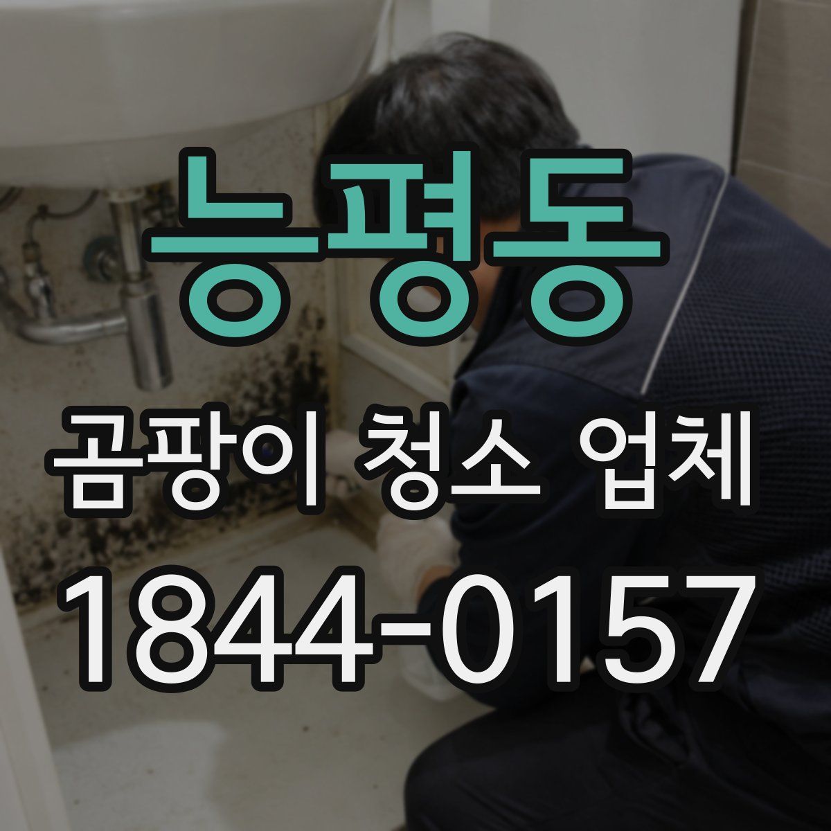 능평동 곰팡이 청소 업체