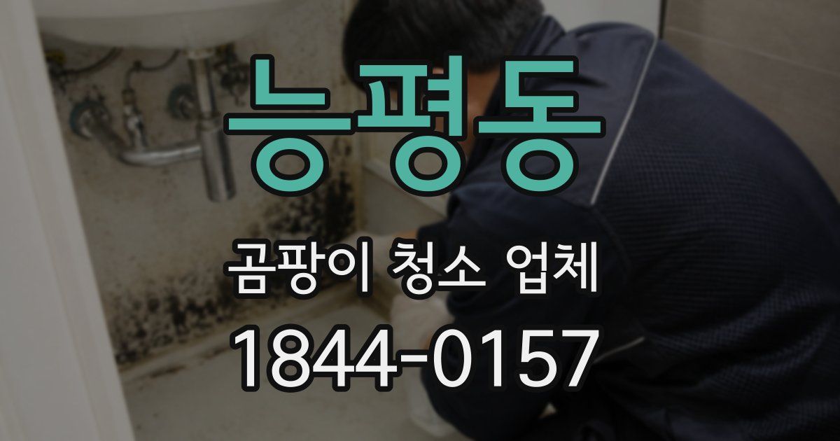 능평동 곰팡이 청소 업체