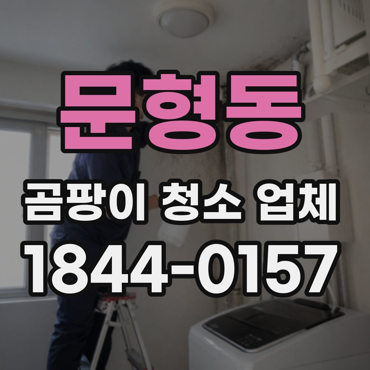 문형동 곰팡이 청소 업체