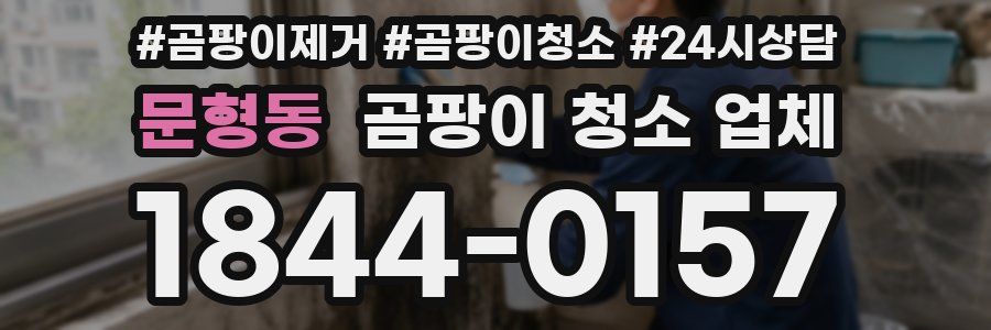 문형동 곰팡이 청소 업체