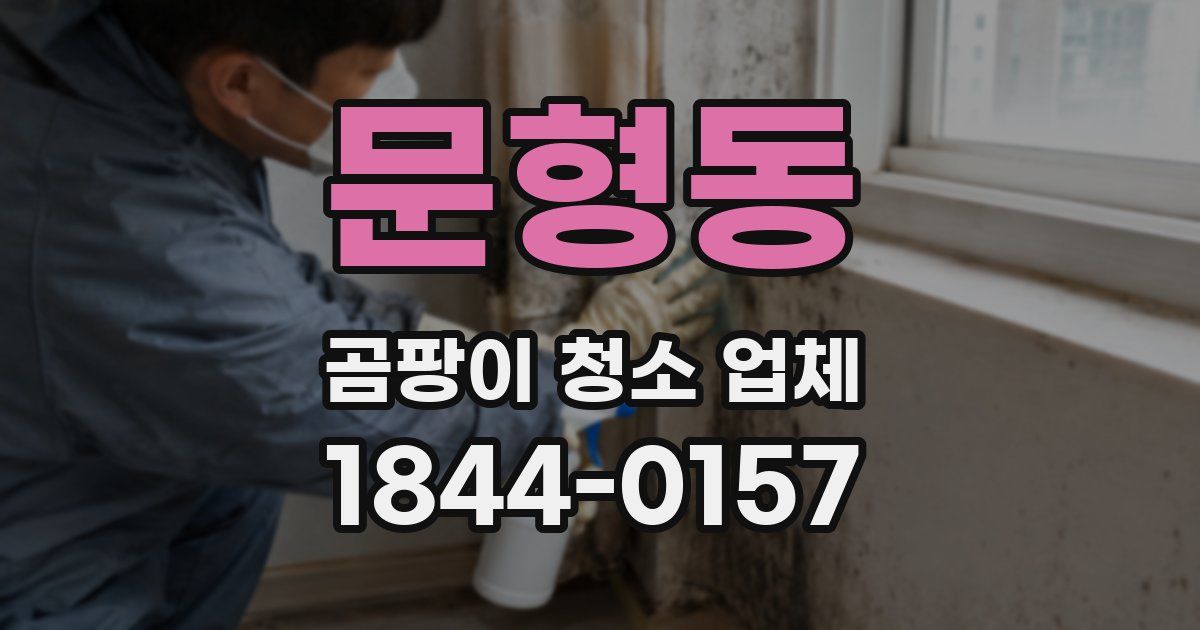 문형동 곰팡이 청소 업체