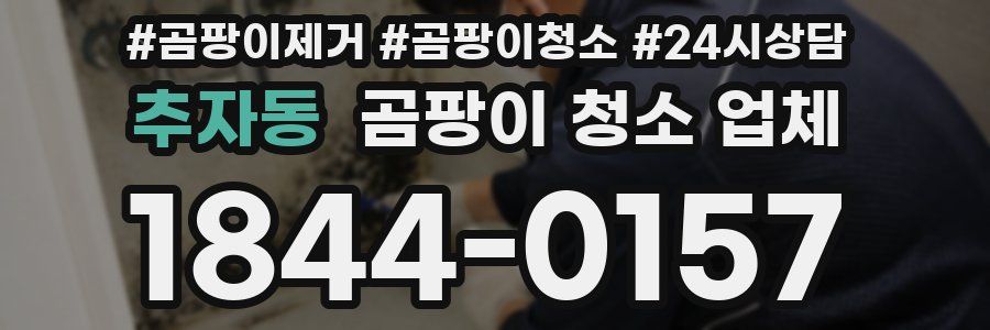 추자동 곰팡이 청소 업체