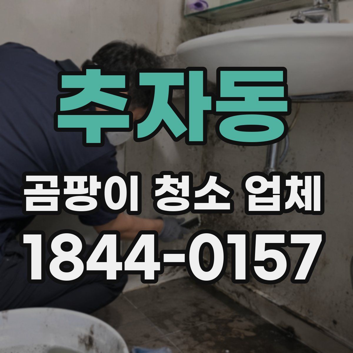 추자동 곰팡이 청소 업체