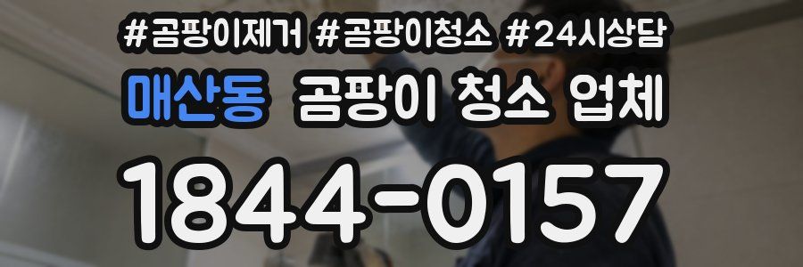 매산동 곰팡이 청소 업체