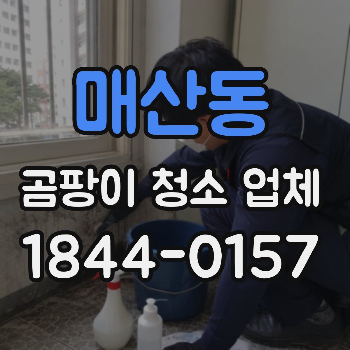 매산동 곰팡이 청소 업체